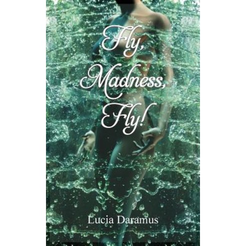 Fly Madness Fly! Paperback, Grosvenor House Publishing Limited