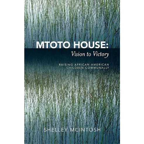 Mtoto House: Vision to Victory: Raising African American Children Communally Paperback, Hamilton Books