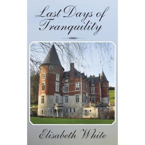 Last Days of Tranquility Paperback, Bookstand Publishing