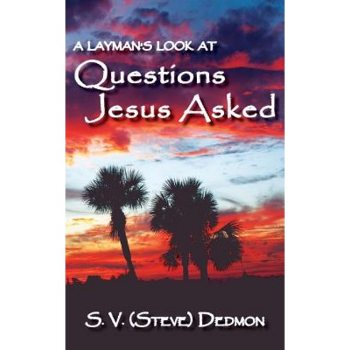 A Layman''s Look at Questions Jesus Asked Paperback, Bluewaterpress LLC
