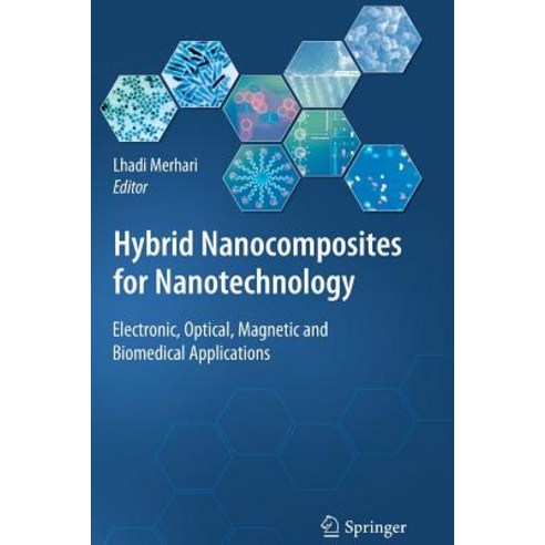 Hybrid Nanocomposites for Nanotechnology: Electronic Optical Magnetic and Biomedical Applications Paperback, Springer