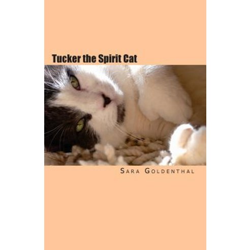 Tucker the Spirit Cat: A Meditation on Love and Hope for Anyone Grieving the Loss of an Animal Friend Paperback, Createspace
