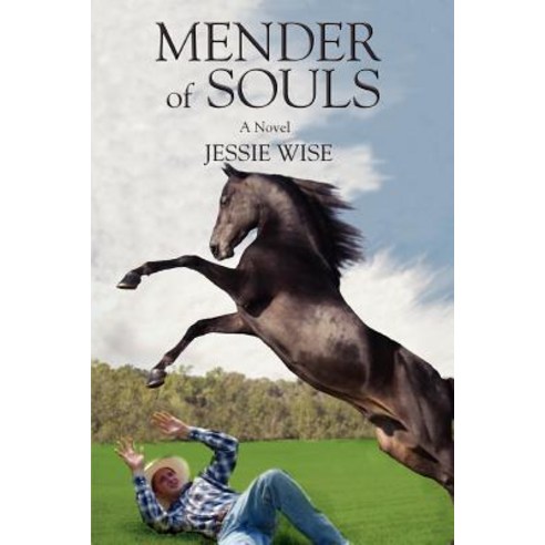 Mender of Souls Paperback, iUniverse