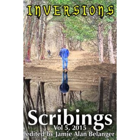 Scribings Vol 5: Inversions Paperback, Lost Luggage Studios, LLC