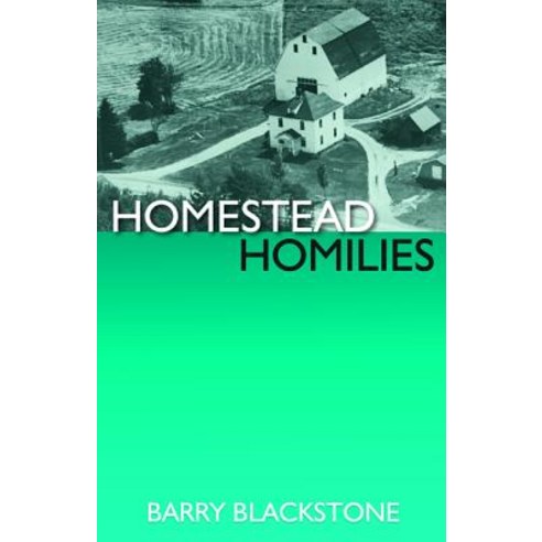 Homestead Homilies Paperback, Resource Publications (CA)