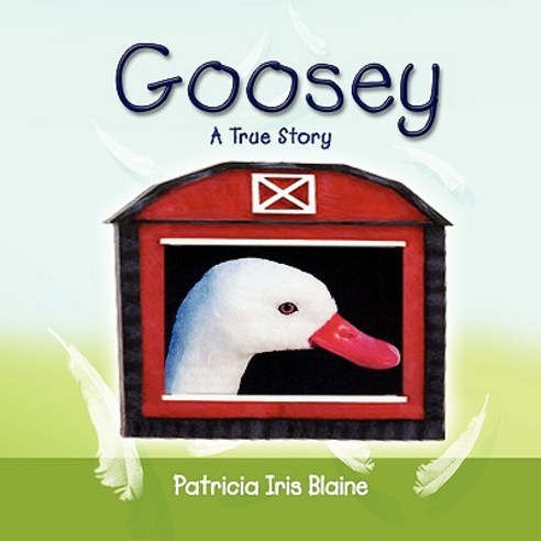 Goosey Paperback, Xlibris