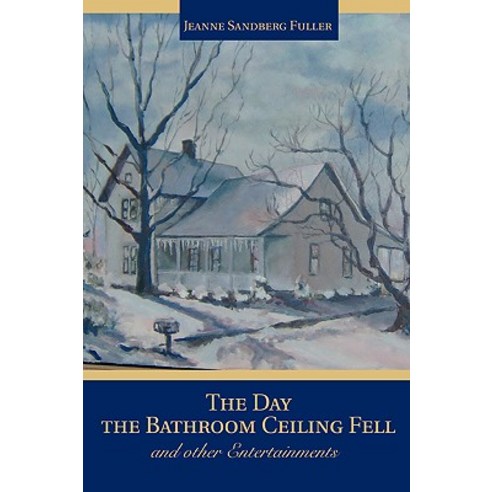 The Day the Bathroom Ceiling Fell: And Other Entertainments Hardcover, iUniverse