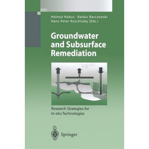 Groundwater and Subsurface Remediation: Research Strategies for In-Situ Technologies Paperback, Springer