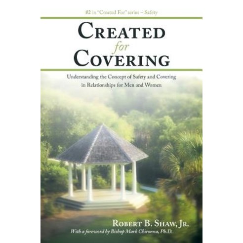 Created for Covering: Understanding the Concept of Safety and Covering in Relationships for Men and Women Paperback, WestBow Press