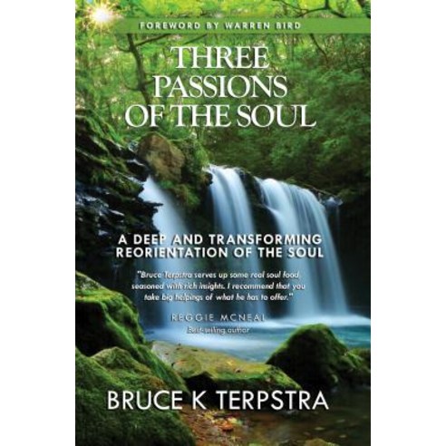 Three Passions of the Soul: A Deep and Transforming Reorientation of the Soul Paperback, Carpenter''s Son Publishing