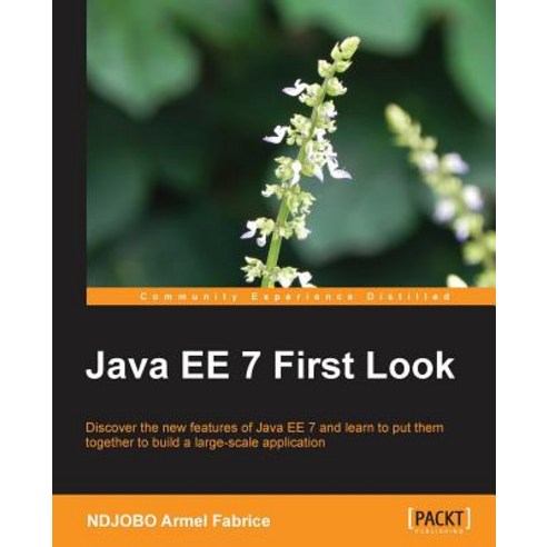 Java Ee 7 First Look, Packt Publishing