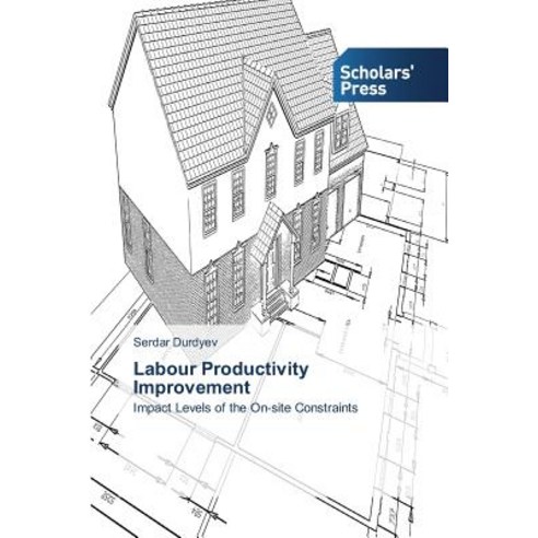 Labour Productivity Improvement Paperback, Scholars'' Press