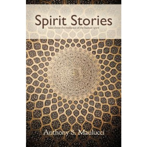 Spirit Stories: Tales about the Resilience of the Human Spirit Paperback, Createspace Independent Publishing Platform