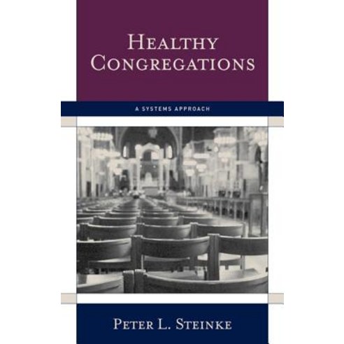 Healthy Congregations: A Systems Approach Paperback, Alban Institute