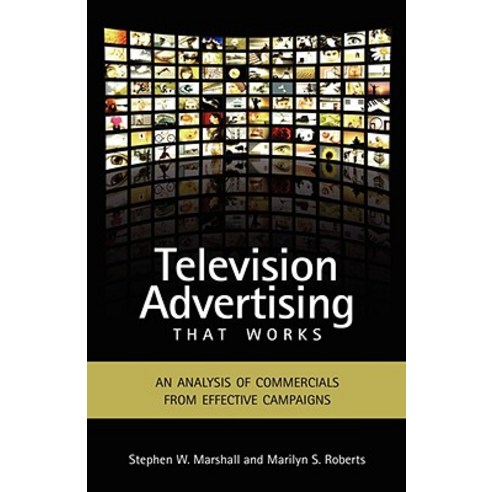 Television Advertising That Works: An Analysis of Commercials from Effective Campaigns Hardcover, Cambria Press