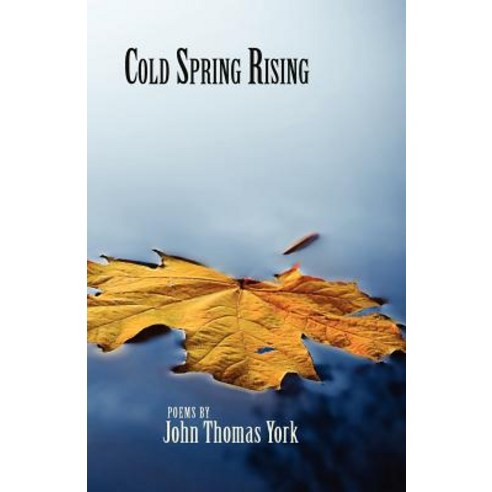 Cold Spring Rising Paperback, Press 53