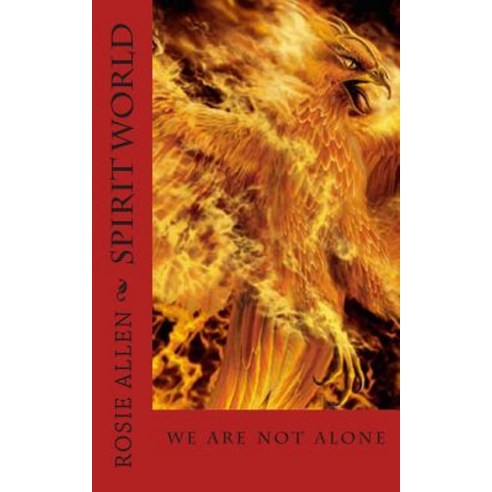Spirit World: We Are Not Alone Paperback, Createspace Independent Publishing Platform