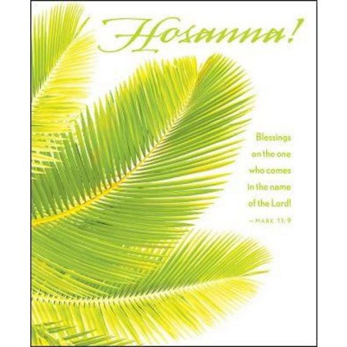 Hosanna Palm Sunday Bulletin Large (Pkg of 50) Loose Leaf, Abingdon ...