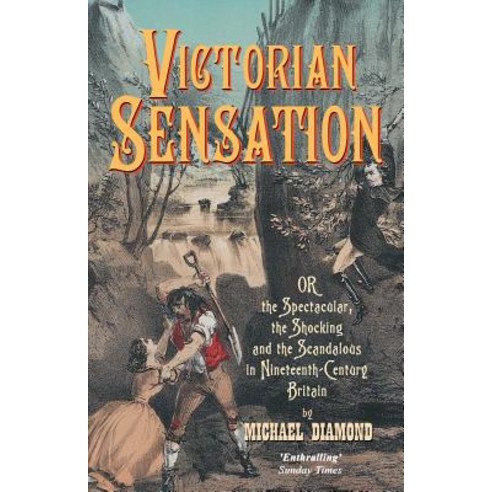 Victorian Sensation: Or the Spectacular the Shocking and the Scandalous in Nineteenth-Century Britain Hardcover, Anthem Press