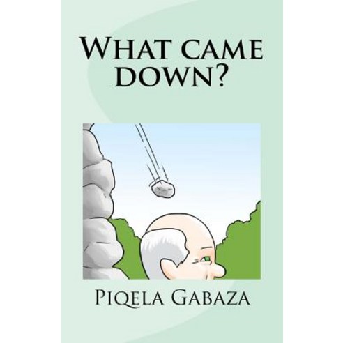 What Came Down? Paperback, Createspace Independent Publishing Platform