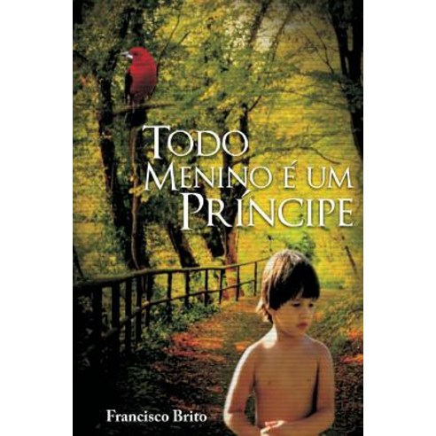 Todo Menino E Um Principe Paperback, Createspace Independent Publishing Platform
