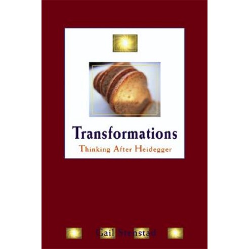 Transformations: Thinking After Heidegger Paperback, University of Wisconsin Press