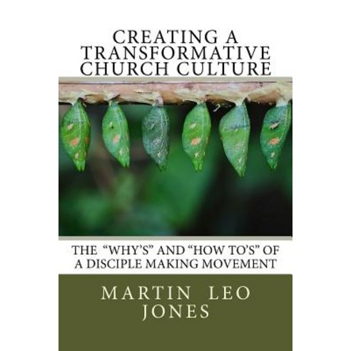 Creating a Transformative Church Culture: "How To''s" of a Disciple ...