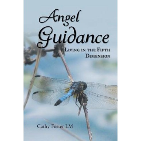 Angel Guidance: Living in the Fifth Dimension Paperback, Page Publishing, Inc.