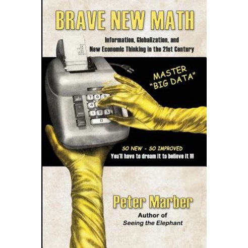 Brave New Math: Information Globalization and New Economic Thinking in the 21st Century Paperback, Lulu.com