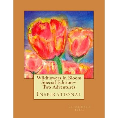 Wildflowers in Bloom Special Edition Two Adventures: Inspirational Paperback, Createspace Independent Publishing Platform