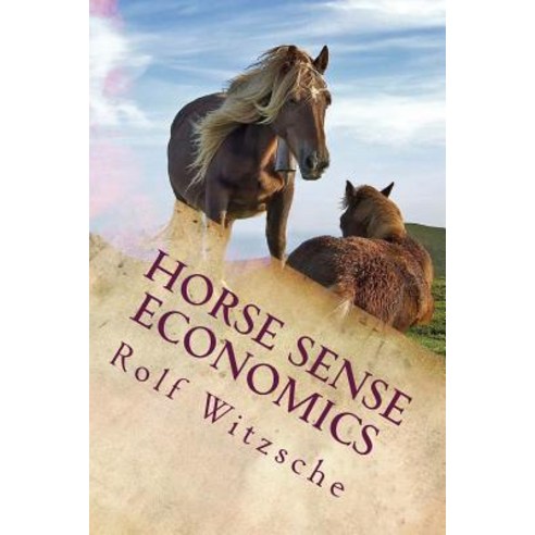 Horse Sense Economics: The Kaleidoscope Project Paperback, Createspace Independent Publishing Platform