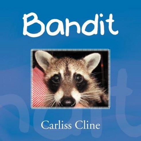 Bandit Paperback, Xlibris