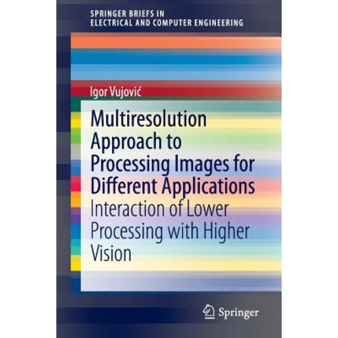 Multiresolution Approach to Processing Images for Different Applications: Interaction of Lower Processing with Higher Vision Paperback, Springer