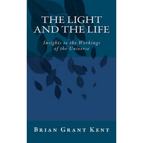 The Light and the Life: Insight to the Workings of the Universe Paperback, Createspace