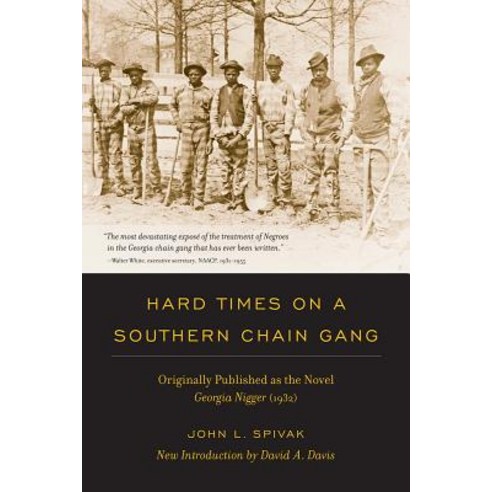 Hard Times on a Southern Chain Gang: Originally Published as the Novel Georgia Nigger (1932) Paperback, University of South Carolina Press