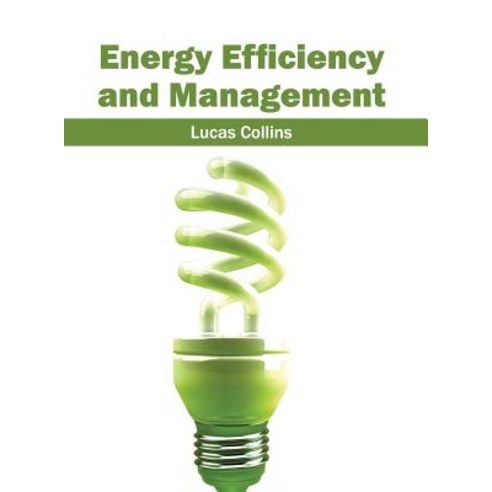 Energy Efficiency and Management Hardcover, Clanrye International