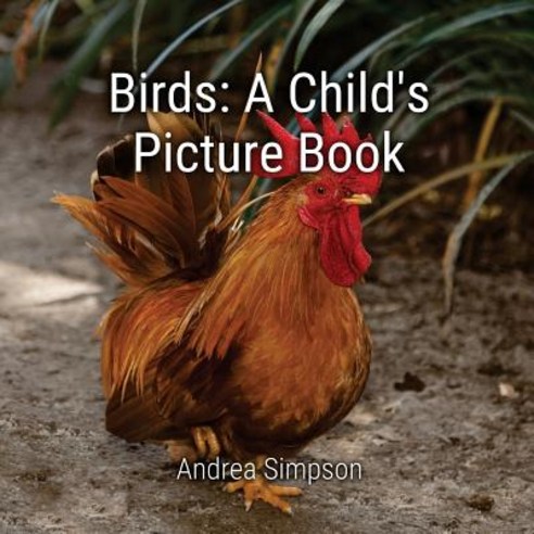 Birds: A Child''s Picture Book Paperback, Createspace Independent Publishing Platform