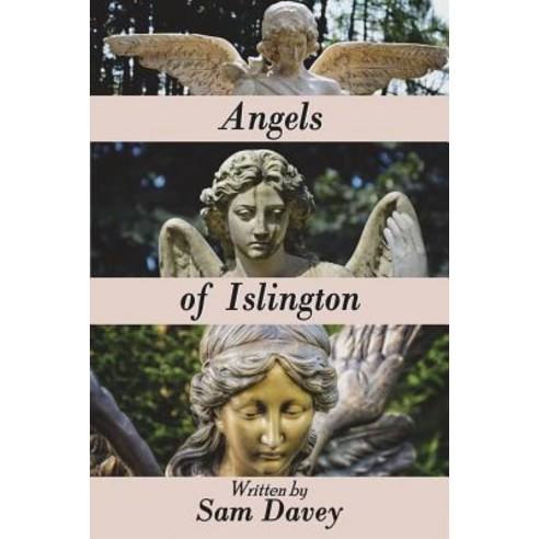 Angels of Islington Paperback, Mirador Publishing