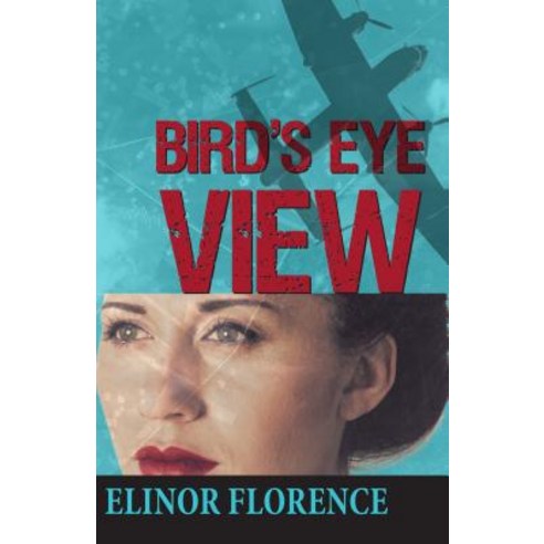 Bird''s Eye View Paperback, Dundurn Group