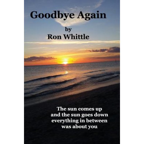 Goodbye Again Paperback, Human Error Publishing