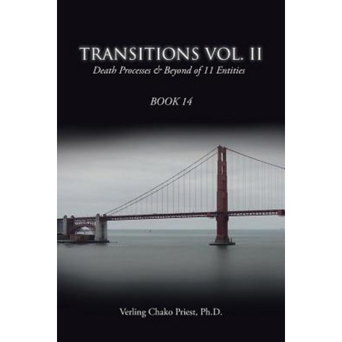 Transitions: Death Processes & Beyond of 11 Entities Paperback, Trafford Publishing