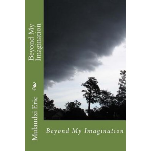 Beyond My Imagination Paperback, Createspace Independent Publishing Platform