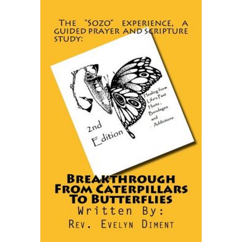 Breakthrough from Caterpillars to Butterflies: : Healing from Past Hurts Bondages and Addictions, Createspace Independent Publishing Platform