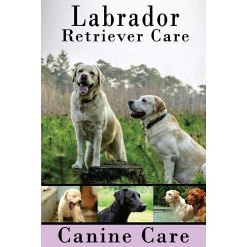 Labrador Retriever Care: The Complete Guide to Caring for and Keeping Labrador Retrievers as Pets, Createspace Independent Publishing Platform