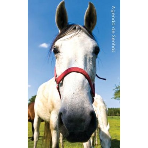 Agenda de Senhas: Agenda Para Enderecos Eletronicos E Senhas: Capa Cavalo Curioso - Portugues (Brasil), Createspace Independent Publishing Platform