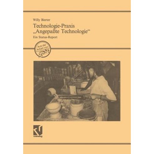 Technologie-Praxis Angepasste Technologie: Ein Status-Report, Vieweg+teubner Verlag