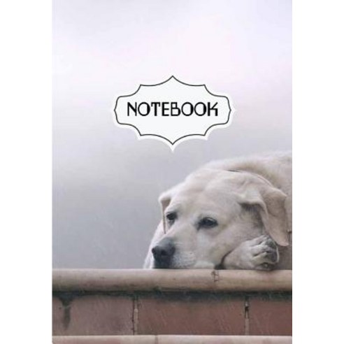 Notebook Journal: Waiting: Pocket Notebook Journal Diary 120 Pages 7 X ...