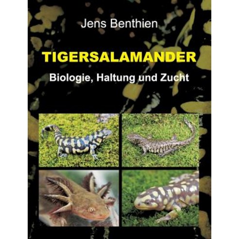 Tigersalamander Paperback, Tredition Gmbh