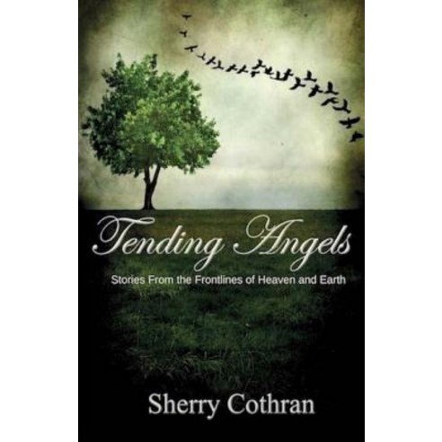 Tending Angels: Stories from the Frontlines of Heaven and Earth Paperback, Createspace Independent Publishing Platform