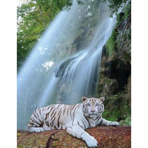 Waterfall White Tiger Notebook: 8.5 X 11 202 College Ruled Pages Paperback, Createspace Independent Publishing Platform